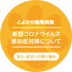 新型コロナウイルス感染症対策について